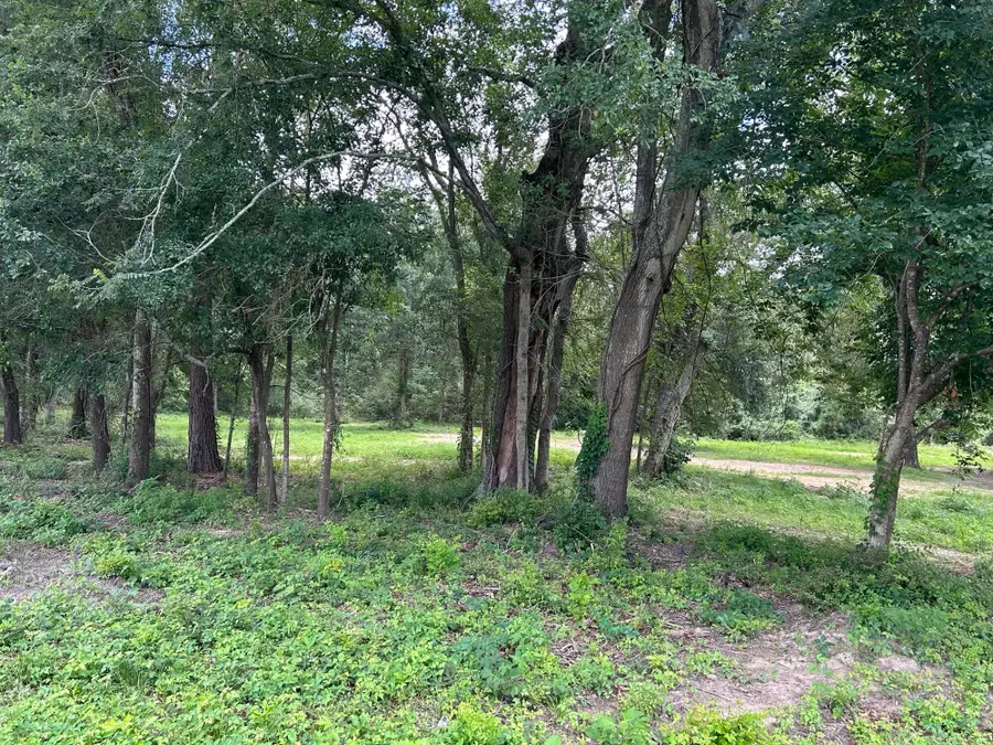 TBD N Mount Mariah Road, Montgomery, TX 77356 - #3