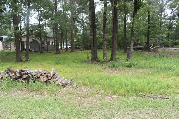 TBD Belize Drive, Point Blank, TX 77364