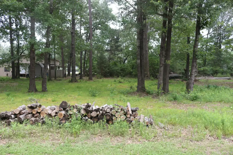 TBD Belize Drive, Point Blank, TX 77364 - #2