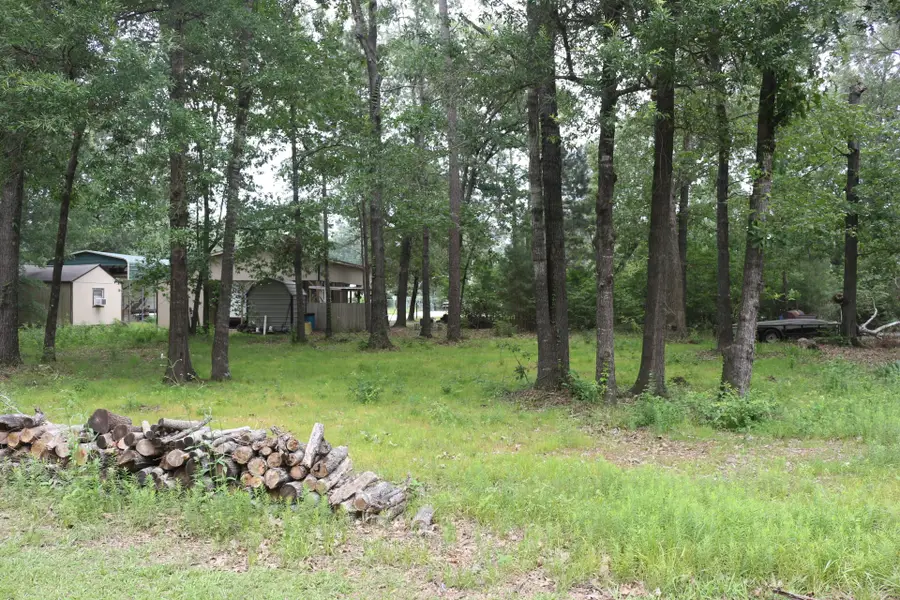 TBD Belize Drive, Point Blank, TX 77364 - #3