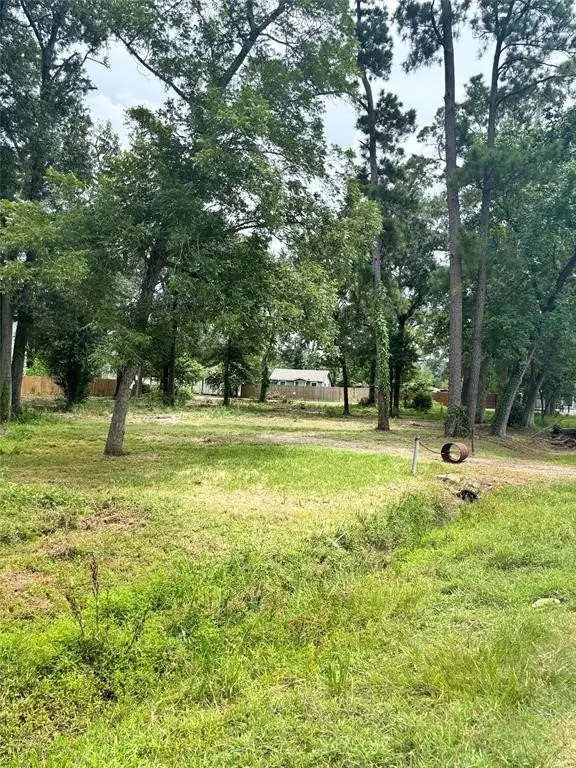 10406 Belridge Street, Houston, TX 77016 - #2