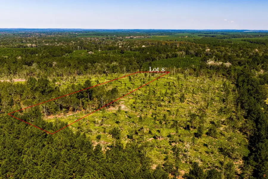 008 Buddy Lloyd Rd, Livingston, TX 77351 - #2