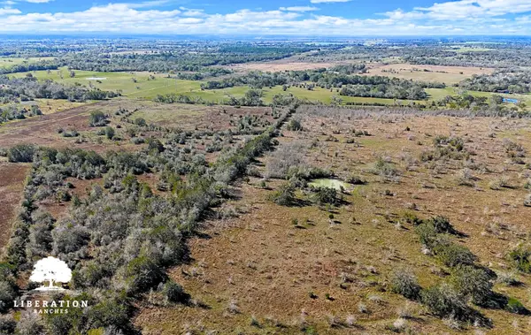 13316 Farm To Market Rd 2620 Tract 7, Bedias, TX 77831