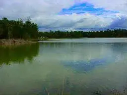 32118 Edgewater Drive, Magnolia, TX 77354 - #3