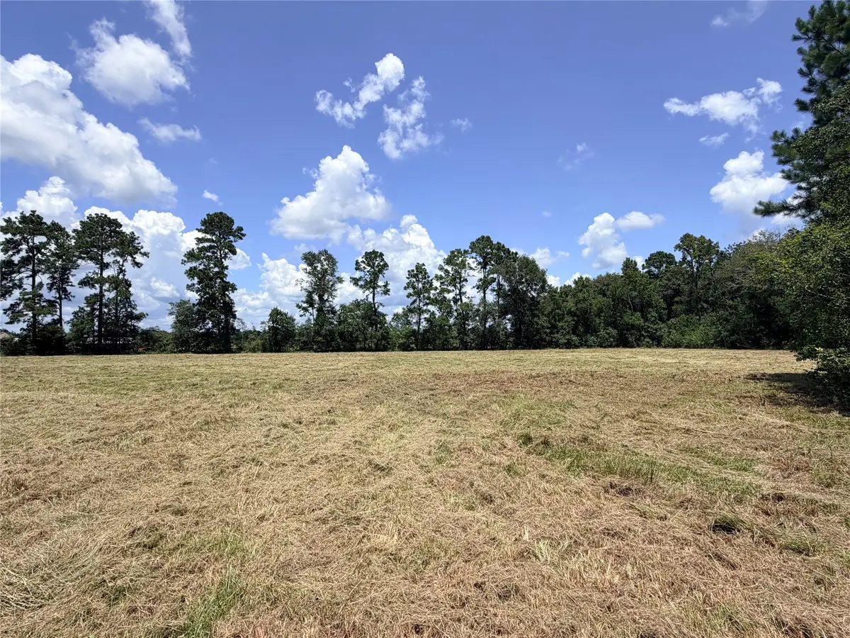 000 Old Sour Lake Road, Saratoga, TX 77585 - #1