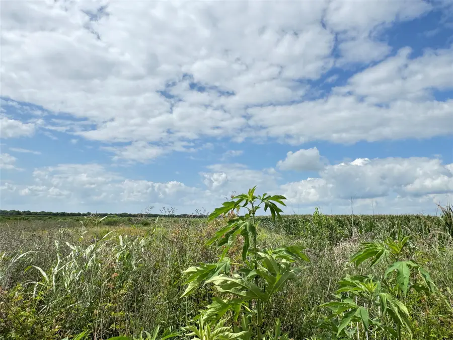 TBD Beard Road, Needville, TX 77461 - #2