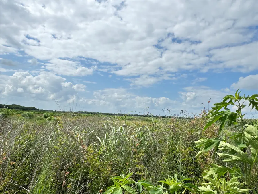 TBD Beard Road, Needville, TX 77461 - #3