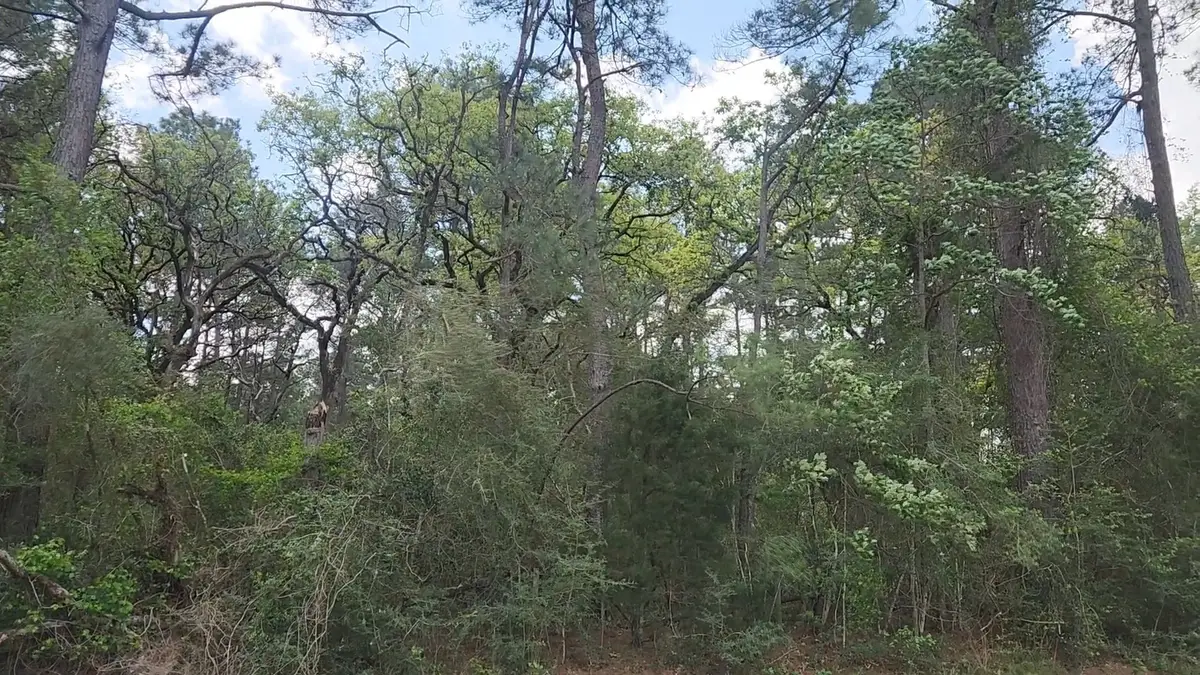 Lot 2 N Council Drive, Hempstead, TX 77445 - #1