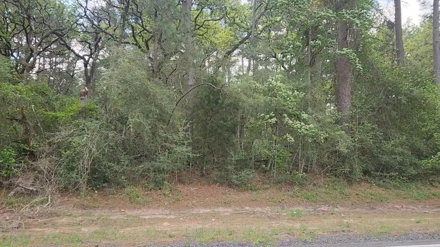 Lot 2 N Council Drive, Hempstead, TX 77445 - #2