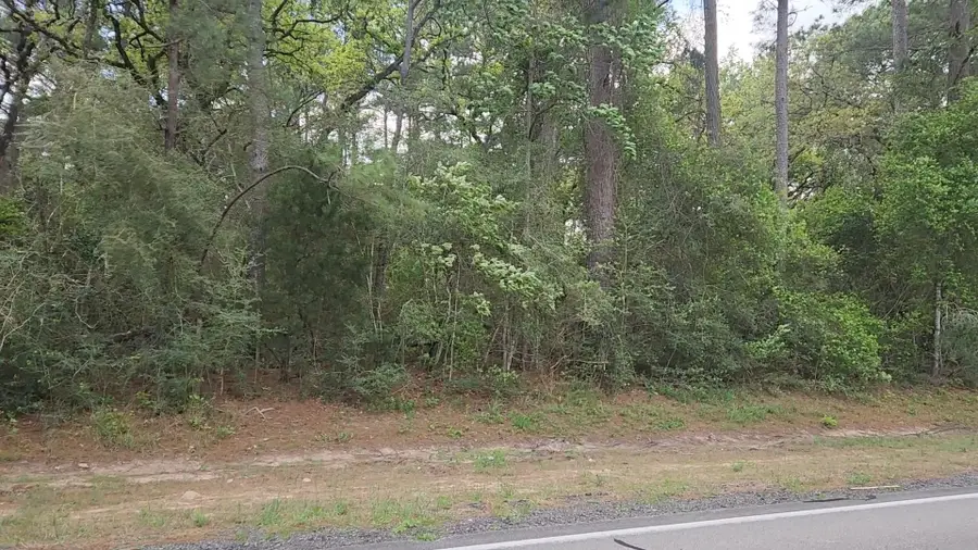 Lot 2 N Council Drive, Hempstead, TX 77445 - #3