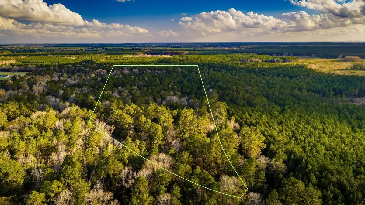 001 Holly Grove Road, Livingston, TX 77351 - #1