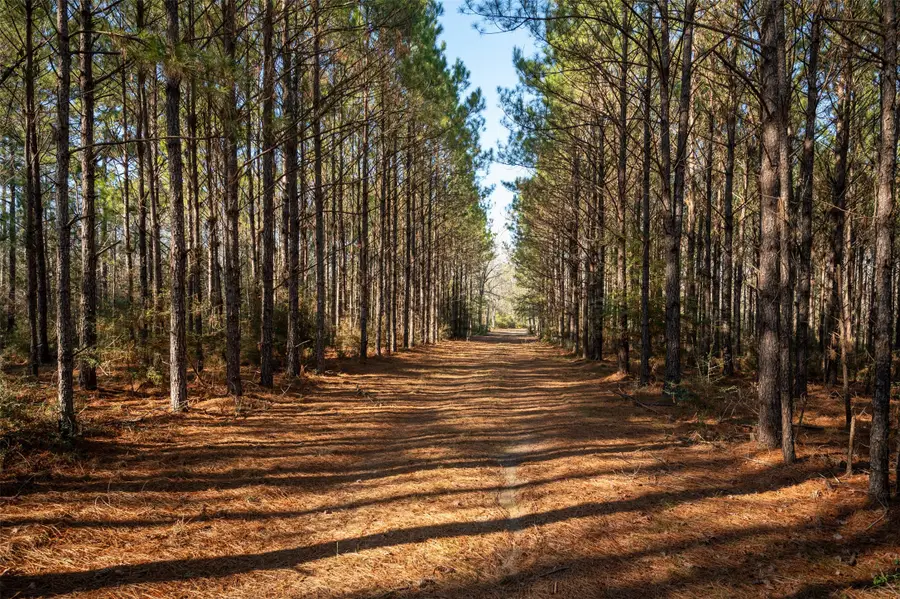 312 Us Highway 190 W, Woodville, TX 75979 - Image #3