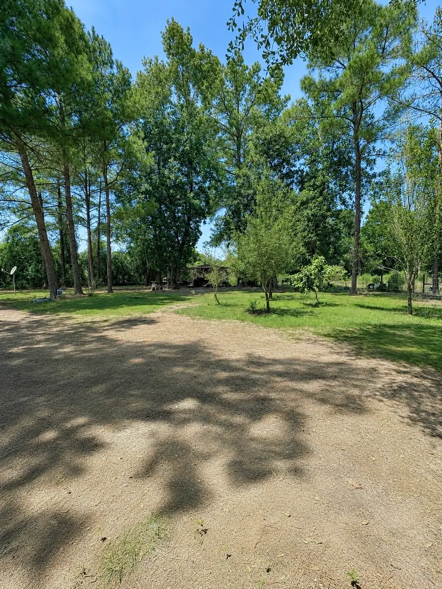 1337 Wiemers Road, Saratoga, TX 77585 - #2