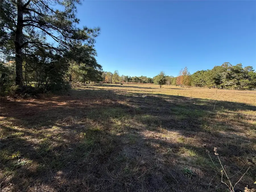 709 County Road 3880, Cleveland, TX 77328 - Image #3