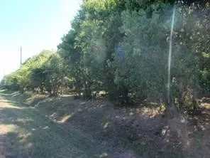 LOT 3 OR 8 Duncan Drive, Oyster Creek, TX 77541 - Image #1