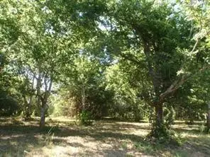 LOT 3 OR 8 Duncan Drive, Oyster Creek, TX 77541 - Image #2