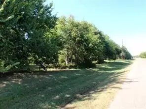 LOT 3 OR 8 Duncan Drive, Oyster Creek, TX 77541 - Image #3