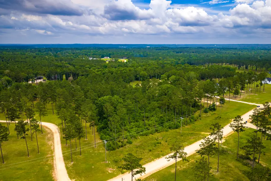 TBA Red Lowe Road, Livingston, TX 77351 - #2