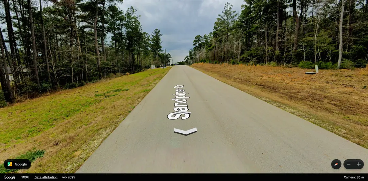 0 Sandpiper Drive, New Waverly, TX 77358 - #1