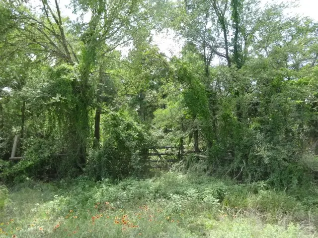 28 Marjorie Lane, Huntsville, TX 77320 - #1