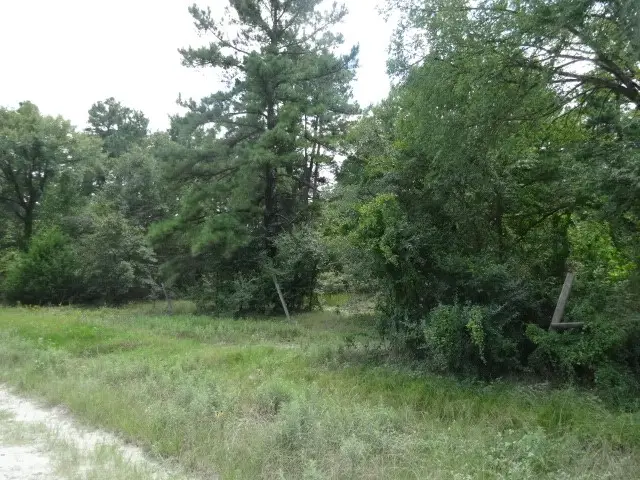28 Marjorie Lane, Huntsville, TX 77320 - #2
