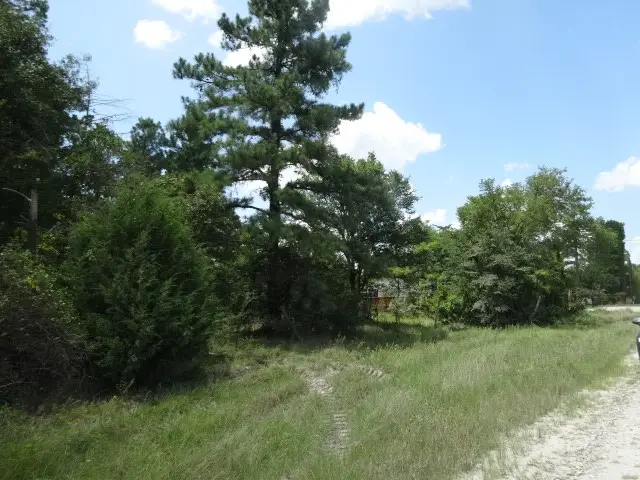 28 Marjorie Lane, Huntsville, TX 77320 - #3