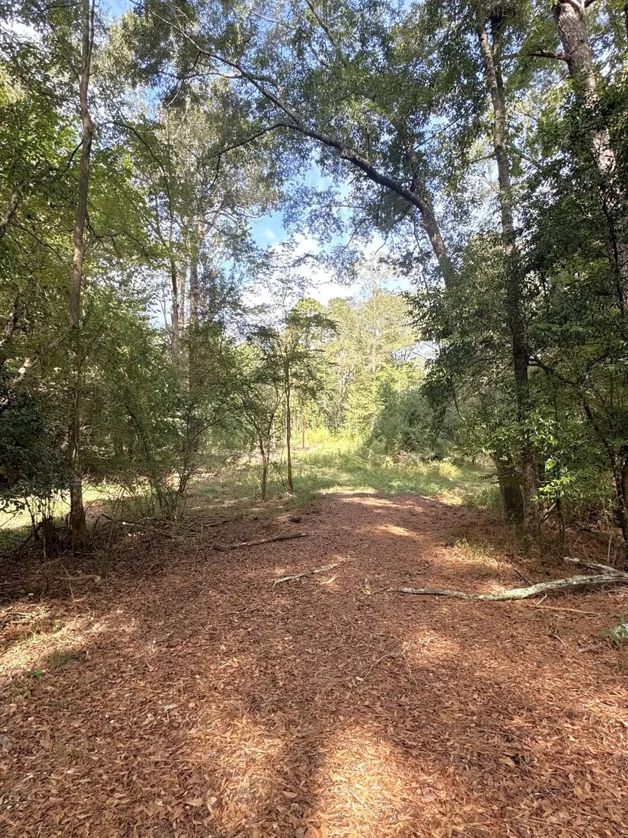 2080 County Road 1100, Woodville, TX 75979 - Image #2