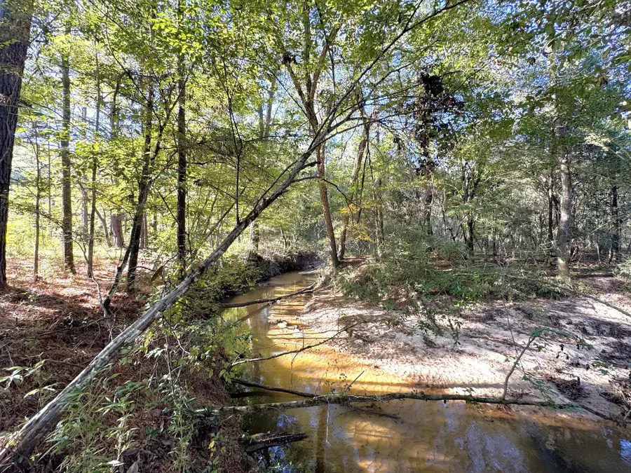 2080 County Road 1100, Woodville, TX 75979 - Image #3