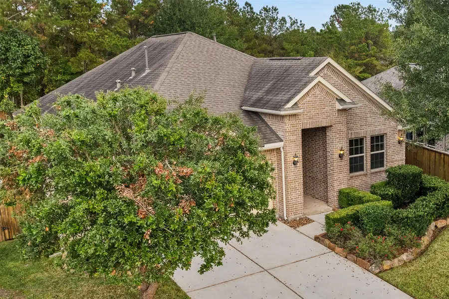 120 Crinium Lily Court, Montgomery, TX 77316 - Image #3