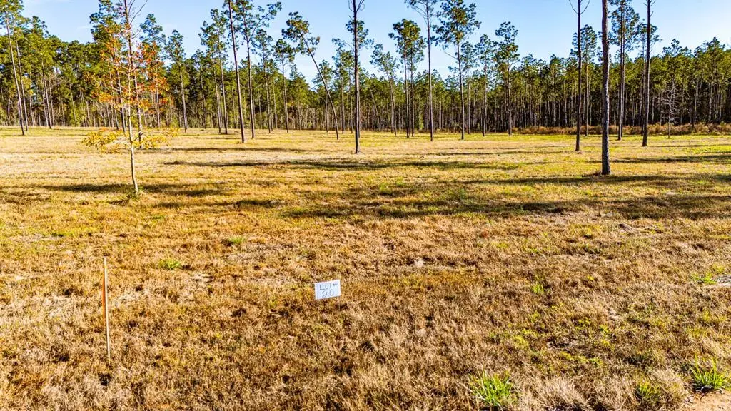Lot 20 Big Buck Drive, Moscow, TX 75960 - #1