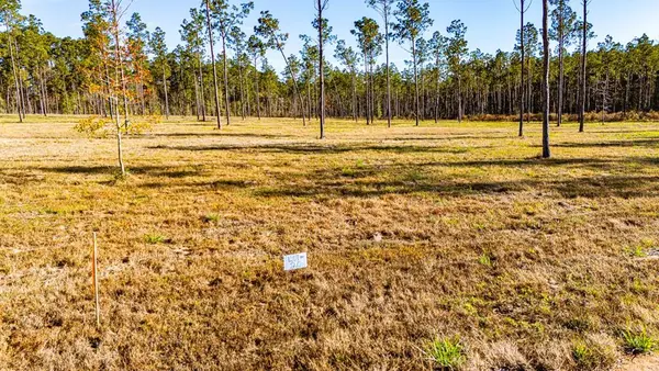 Lot 20 Big Buck Drive, Moscow, TX 75960