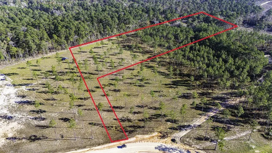Lot 20 Big Buck Drive, Moscow, TX 75960 - #2