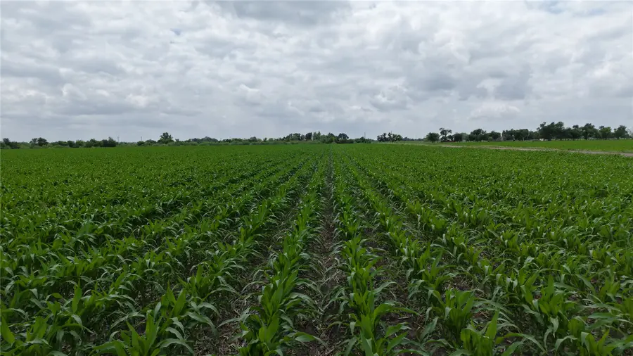 53 County Road 453, Taylor, TX 76574 - #3