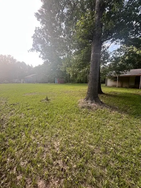 411 Richard Street, Coldspring, TX 77331 - #2