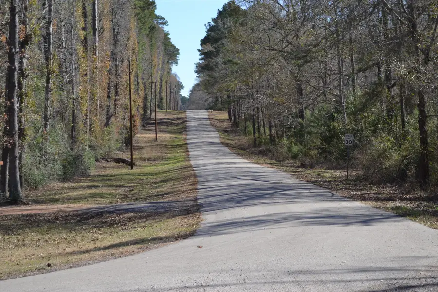 000 Central Drive, Coldspring, TX 77331 - #2