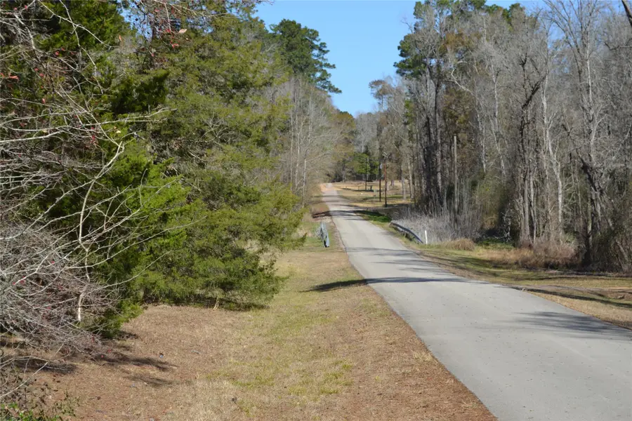 000 Central Drive, Coldspring, TX 77331 - #3