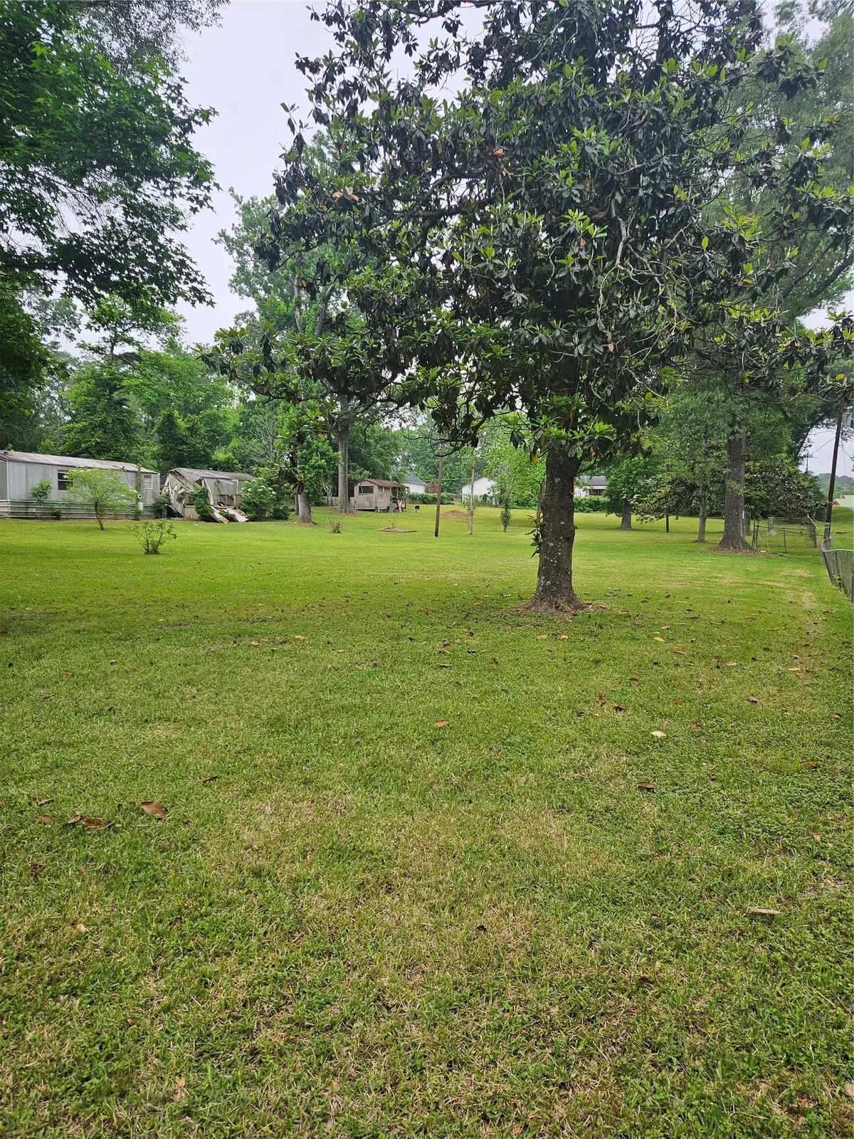 22048 Caney Drive, New Caney, TX 77357 - #1