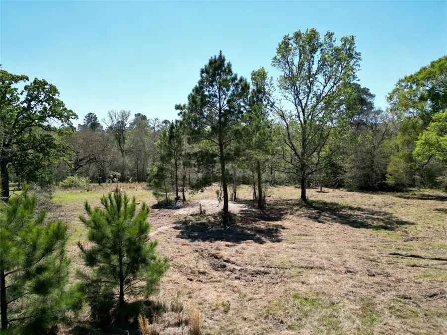 48 Brumley Road, Huntsville, TX 77320 - #2