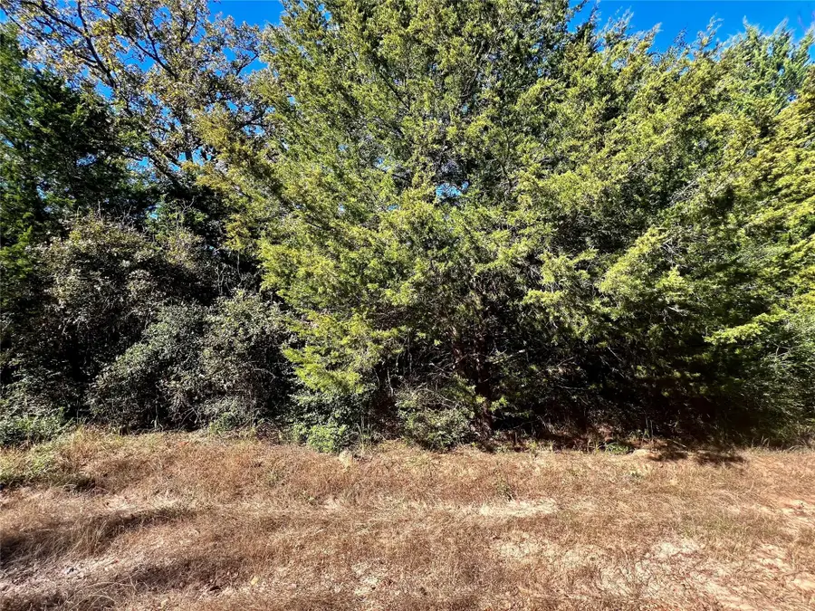 TBD Mockingbird, Normangee, TX 77871 - #2