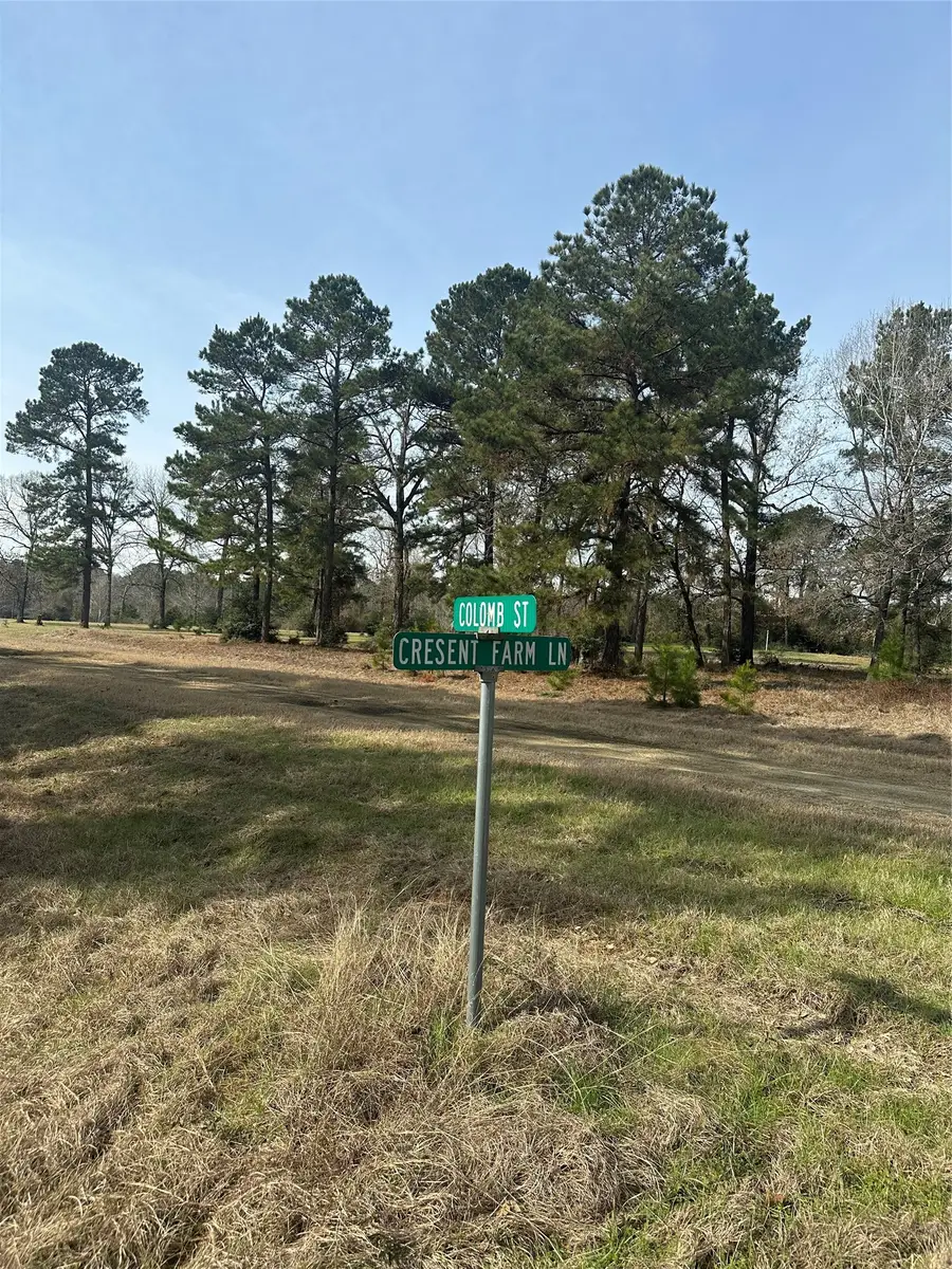 TBD Cresent Farm Lane, Trinity, TX 75862 - #2