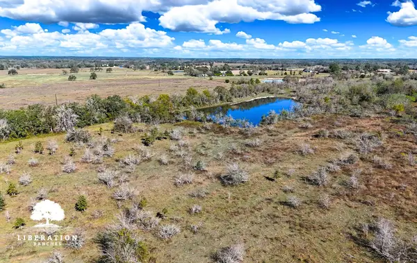 13316 Farm To Market Rd 2620 Tract 7, Bedias, TX 77831