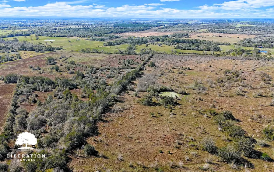 13316 Farm To Market Rd 2620 Tract 7, Bedias, TX 77831 - #2