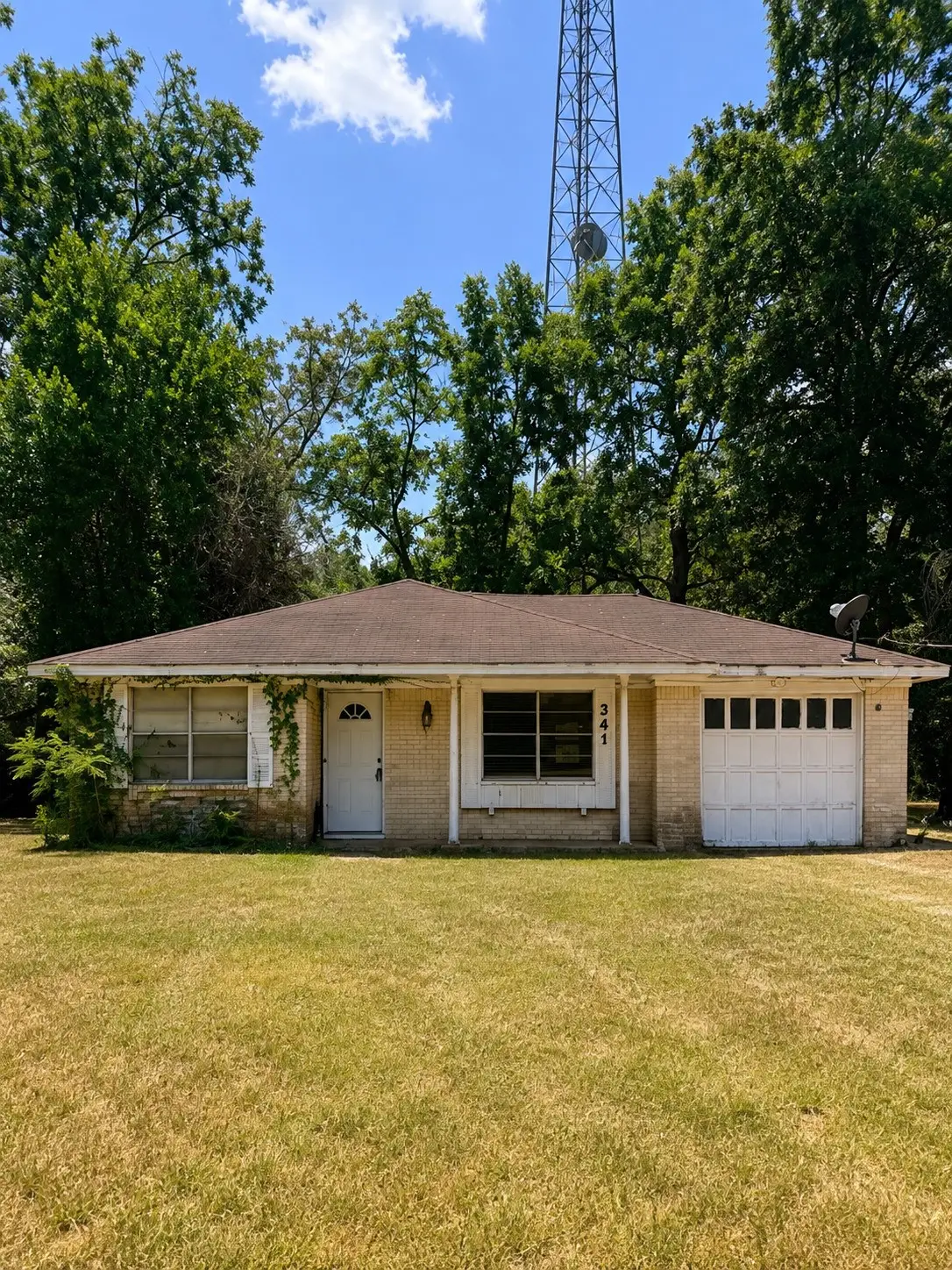 341 Myrtie Drive, Shepherd, TX 77371 - #1