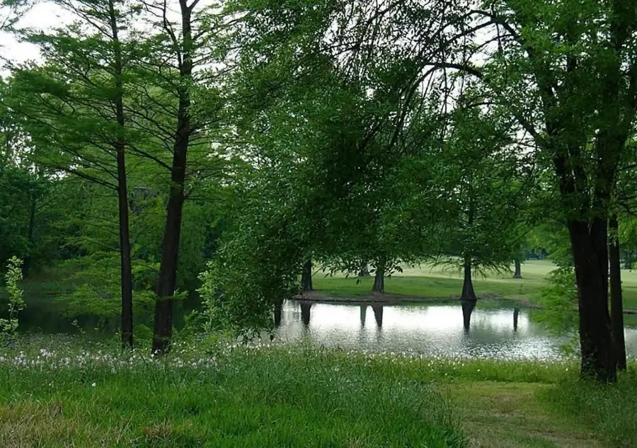 6602 Harbor Town Drive #505, Houston, TX 77036 - Image #3