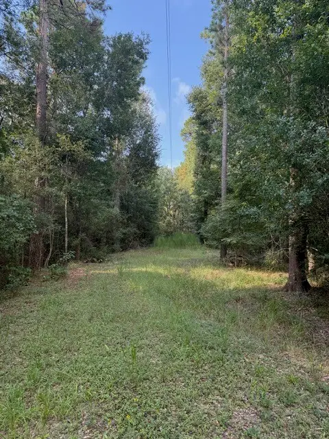 25571 Kimbro Road, Hockley, TX 77447 - #2