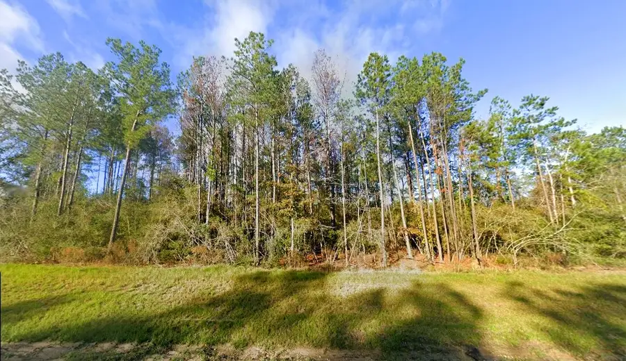 10633 Ruger Road, Willis, TX 77378 - Image #3