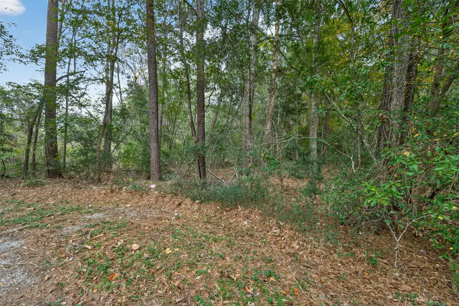 Lot 411 North Woods, Cleveland, TX 77328 - Image #3