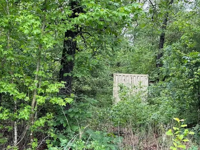 CR 235 County Road 235, Oakwood, TX 75855 - #3