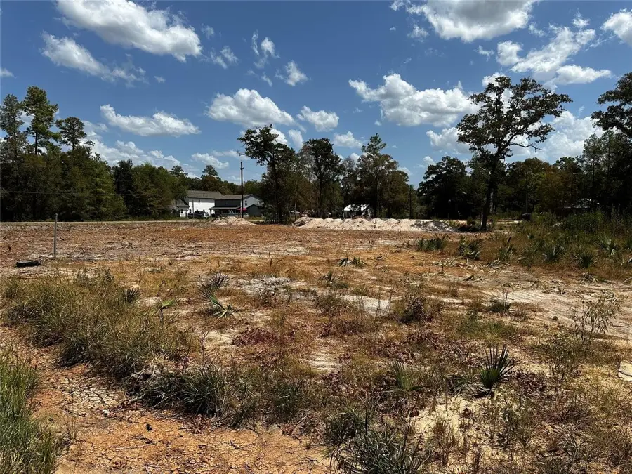 17123 Spindle Oaks Drive, Conroe, TX 77385 - #2