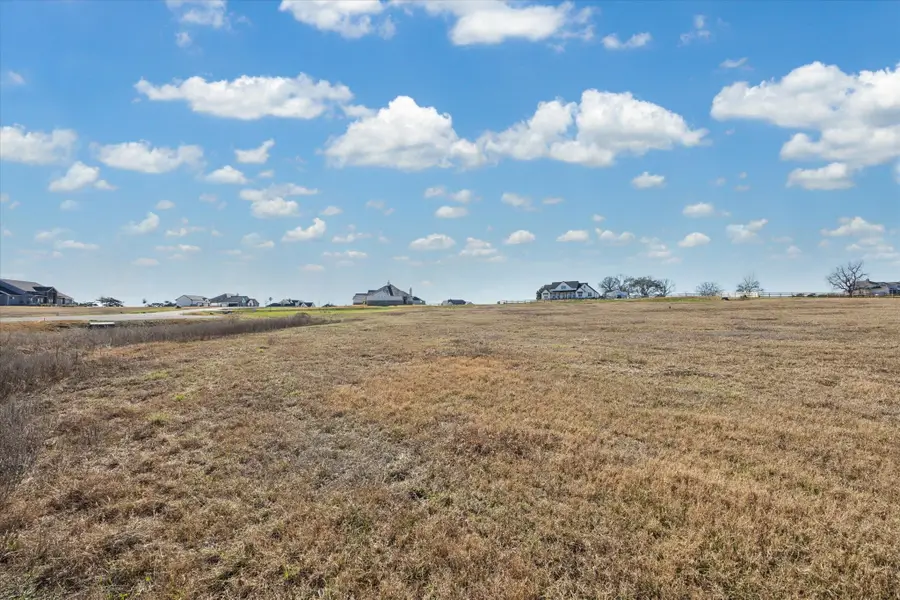 1549 Bluebonnet Ridge Drive, Chappell Hill, TX 77426 - #3